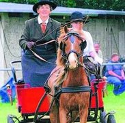 Gespannfahren Reit- und Fahrturnier