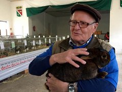 Kaninchenzüchter Mehringen Kaninchenzüchter Mehringen