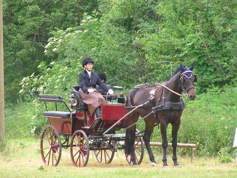 Reitturnier 2006 Mandy Dockhorn