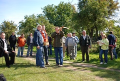 Hahnenk&ouml;nig 2008