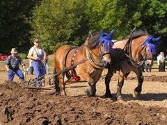 Leistungspfl&uuml;gen