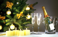 Sylvester 2010 Sylvester 2010