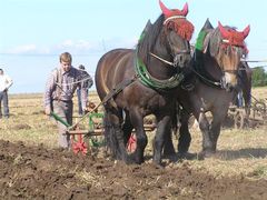 T. Klumpe, der Sieger