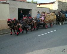 erntedankfest mehringen