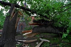 Windhose in Mehringer Kirchgarten