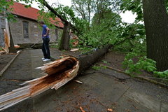 Windhose in Mehringer Kirchgarten